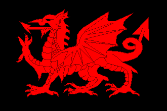 [Welsh Separatist flag]